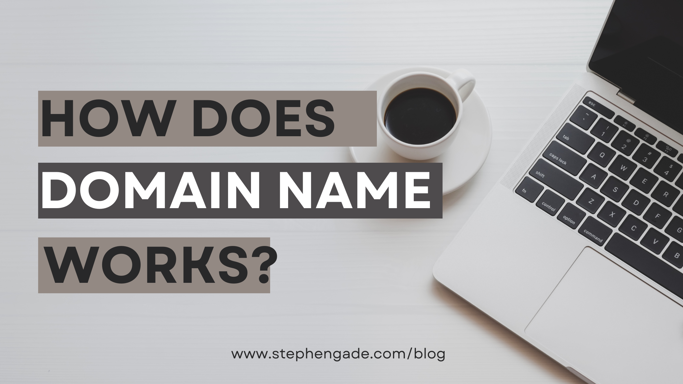 Domain Name 101: How Do Domains Work?